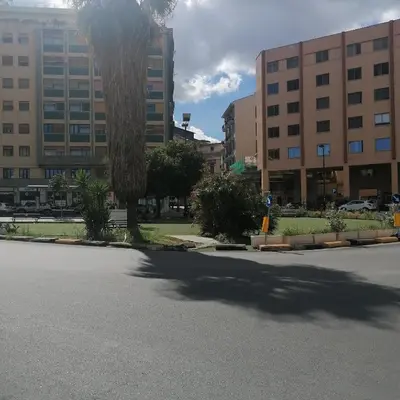 a shadow of a palm tree on a street at Casa SMART in Palermo