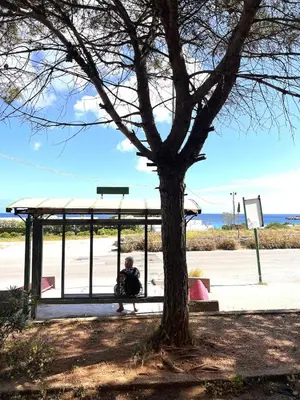 a person sitting on a bench next to a tree at Nuovo appartamento sul mare immerso nel verde in Palermo
