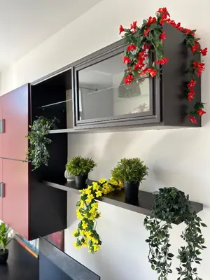 a shelf with potted plants and a mirror at MondHello a 2 passi dal mare in Palermo