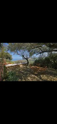 two photos of a tree with two benches under it at Casa Pizzillo in Campofelice di Roccella
