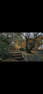 a group of trees in a park with a building at Casa Pizzillo in Campofelice di Roccella