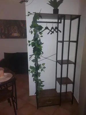 a plant is growing on a shelf in a room at Monreale Prestige Rooms B&B in Monreale
