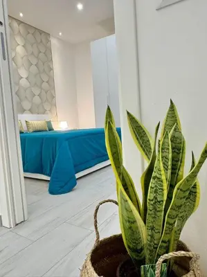 a potted plant in a room with a couch at Ciuri D'Amuri in Palermo
