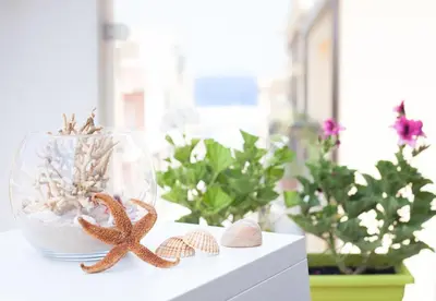 a glass bowl with a starfish and seashells on a shelf at Stanze del Mare in Balestrate