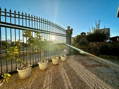 a group of potted plants in front of a fence at Casa del Sole in Campofelice di Roccella