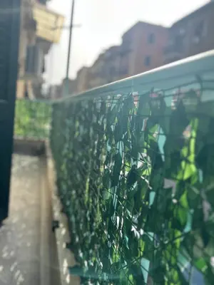 a green fence with people standing behind it at Coco Memi Apartment in Palermo