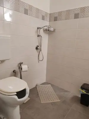 a bathroom with a toilet and a shower at A fera vecchia by Casa Azzurra Apartments in Palermo