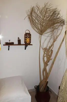 a room with a shelf with a plant and a candle at Giacalone15 - EXCLUSIVE APARTMENT IN THE HISTORIC CENTER NEAR THE TEATRO MASSIMO in Palermo