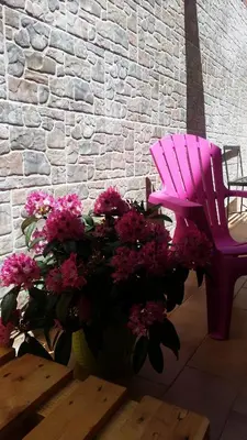 a pink chair sitting next to a bunch of flowers at Apartment in Villa a Mondello in Mondello