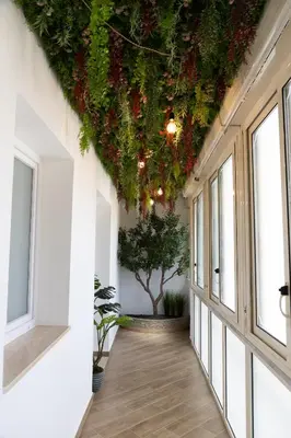 a hallway with a ceiling covered in plants at Adagos in Palermo