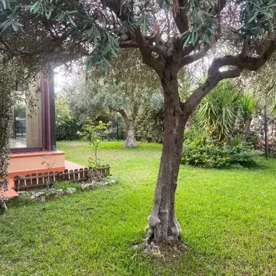 Il Giardino di Seba