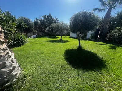 a yard with two trees in the grass at Villa Vulcano - Le Ville del Mediterraneo in Campofelice di Roccella