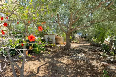 a garden with red flowers and a tree at La Dimora di Icaro - near the sea, the Airport and Palermo in Carini