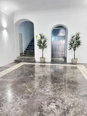 a hallway with two trees in pots and a staircase at Dimora dell'Olivella 1 in Palermo