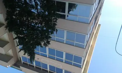 an apartment building with blue windows and a tree at B&b Bagheria in Bagheria