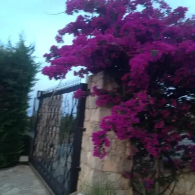 Villa Dorotea
