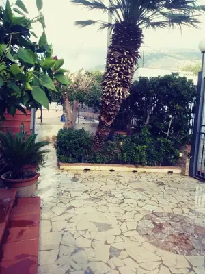 a palm tree in a courtyard with a stone patio at O Firrìu in Carini