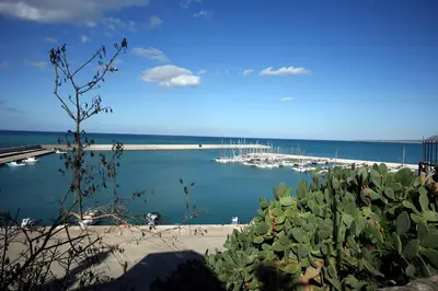 a view of a marina with boats in the water at L'arco Sul Mare in Balestrate