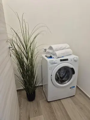 a washing machine and a plant in a room at Rosvì Villa in Castellammare del Golfo