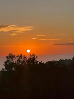 a sunset over the ocean with trees in the foreground at Casa Lo Bianco in Terrasini
