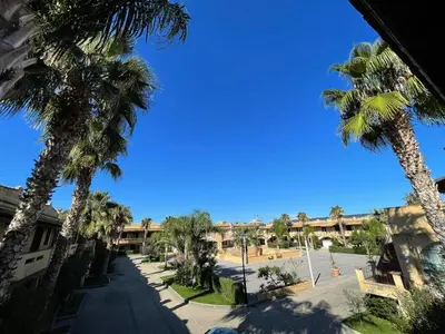 a street with palm trees in front of a building at Sweet Summer House in Campofelice di Roccella