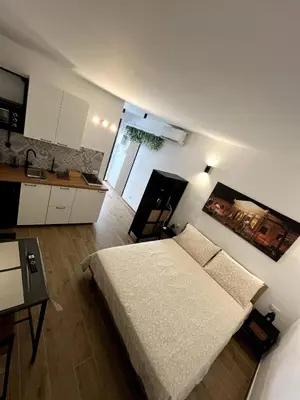 a bedroom with a large bed and a kitchen at Palermo Home Cattedrale-Moderno Monolocale in Palermo