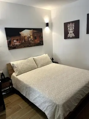 a bedroom with a bed with a white bedspread at Palermo Home Cattedrale-Moderno Monolocale in Palermo