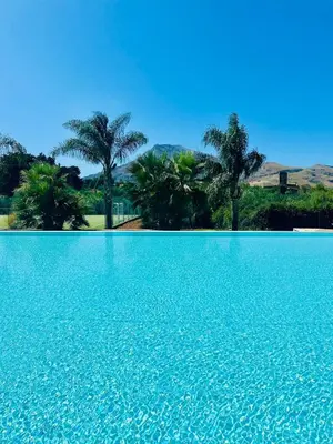 a blue swimming pool with palm trees in the background at Comfy Holiday House in Castellammare del Golfo