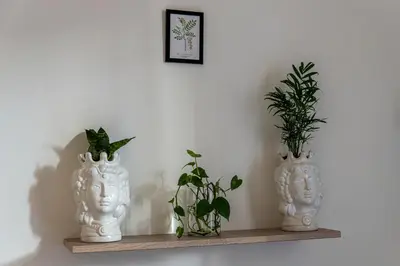 two white vases sitting on a shelf with plants at Casa Botanica Apartment in Palermo