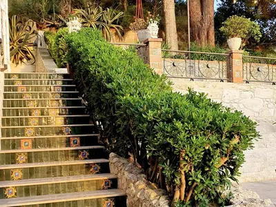 a set of stairs with green plants next to it at Holiday Home Villa Tommaso Maruggi Jacuzzi und privater Pool by Interhome in Alcamo