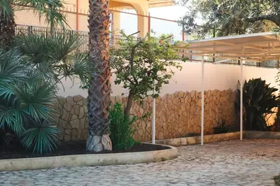 a palm tree in a courtyard next to a fence at Villa Adelaide in Cinisi
