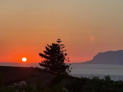 a sunset with a tree in front of the ocean at Zingaro Anima Maris, tra Scopello e Lo Zingaro in Castellammare del Golfo