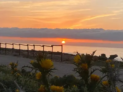 a sunset over the ocean with a fence and flowers at Cala di Ponente in Castelluzzo