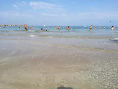 a group of people in the water at the beach at Case Vacanze Terra Sinus in Terrasini