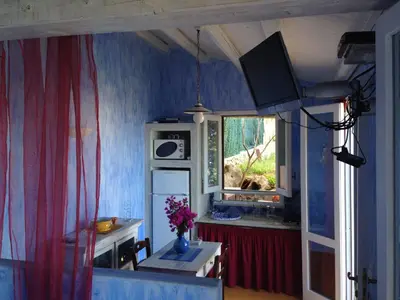 a kitchen with blue walls and a tv on the wall at Villetta Degli Oleandri in Castellammare del Golfo
