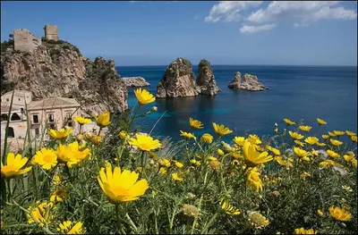 a field of yellow flowers in front of the ocean at Villa Iris in Castellammare del Golfo