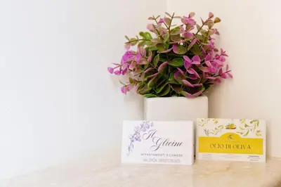 two boxes sitting on a table next to a plant at Il Glicine Appartamenti & Rooms in Castellammare del Golfo