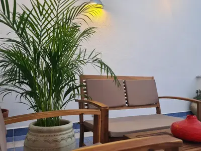 a plant in a pot sitting next to two chairs at casa sul mare in Terrasini