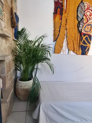 a plant in a pot sitting next to a wall at casa sul mare in Terrasini