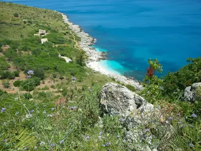 a view of the ocean from a hill with flowers at I Segreti di Antonina in Castelluzzo