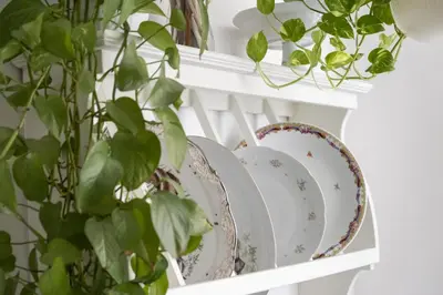a white shelf with plates and a potted plant at Le case di Frelli in Palermo