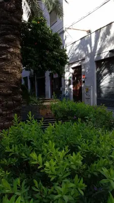 a house with a bench in front of a tree at B&B Casa Rosellina in Palermo