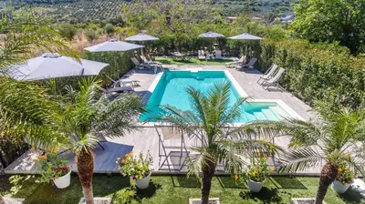 an overhead view of a pool with palm trees and umbrellas at Le Zagare in Lascari