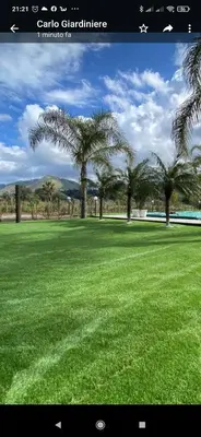 a picture of a field of grass with palm trees at Le Zagare in Lascari