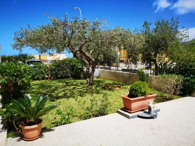 a yard with two pots of plants and a tree at Hawaii Siciliane in Castelluzzo