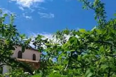 a view of a house behind some trees at Il Gelsomino Home Holiday in Alcamo