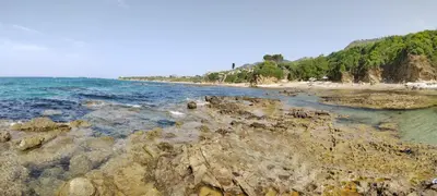 a beach with rocks and the ocean and trees at Villa Giorgia in Cefalù