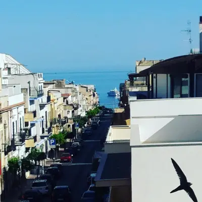 a view of a city street with a bird at Alma Nua in Terrasini