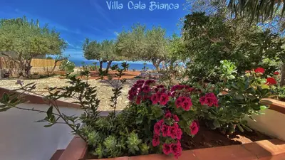 a flower box with pink flowers and trees on the beach at Villa Cala Bianca in Castellammare del Golfo