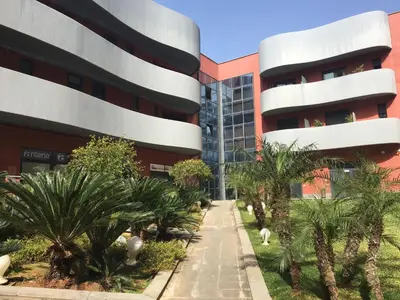 a building with palm trees in front of it at Esmeralda Apartment in Palermo